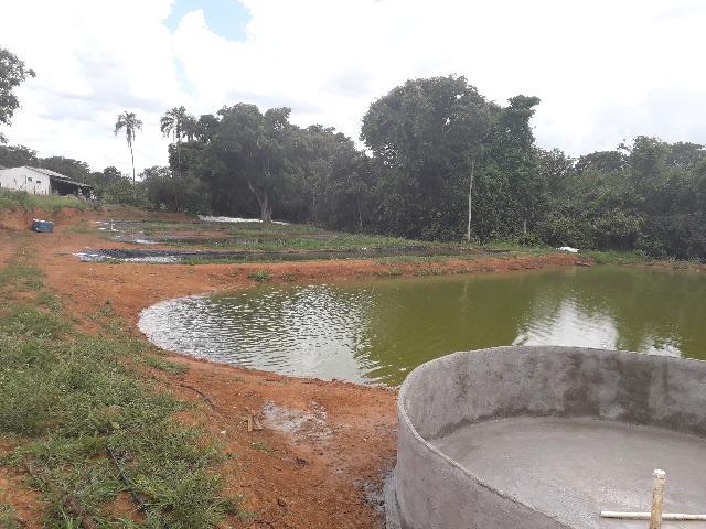 Fazenda à venda, por R$ 900.000.00 - Zona Rural - Luziânia/GO - Foto 9