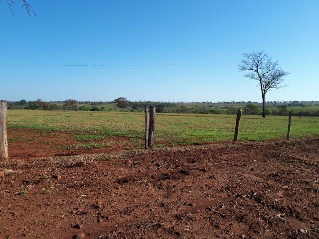 Fazenda em Campo Grande 4mil hectares!! - Foto 4