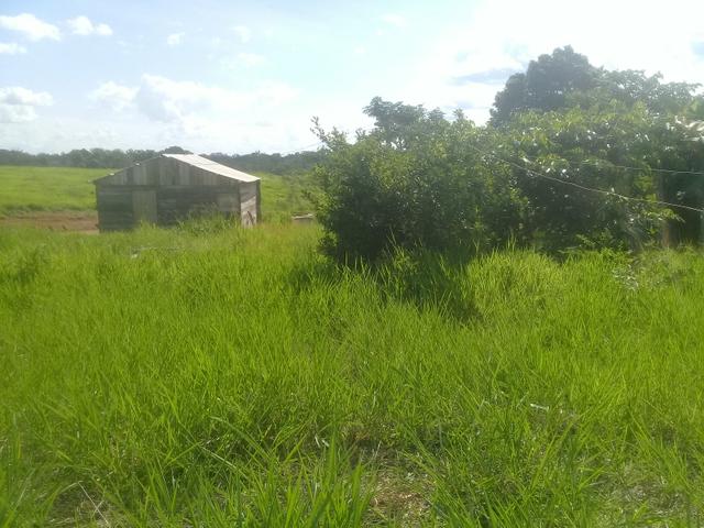 Vendo uma chácara no ramal do mutun no assentamento valteraço brahma