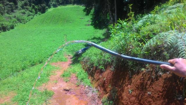 Lindo terreno de 2,8 hectares em Delfim Moreira Sul de Minas Gerais - Foto 4