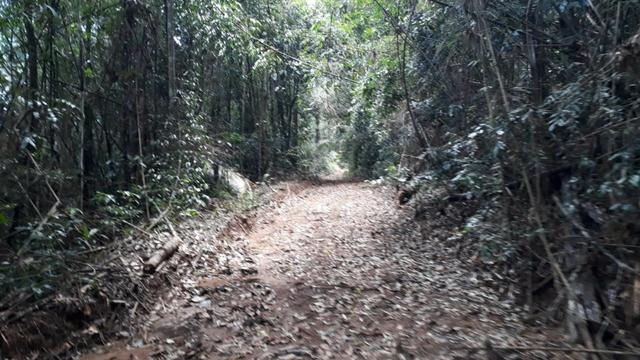 Marechal Floriano sitio próximo a cidade - Foto 11