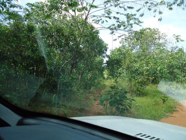 Fazenda em Monte do Carmo-To, 190ha - Foto 2