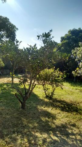 Sitio em São Pedro da aldeia - Foto 6