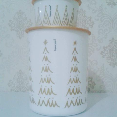 Instantânea tupperware 2p