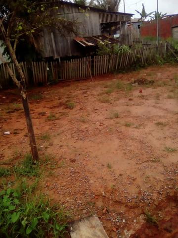 Venda