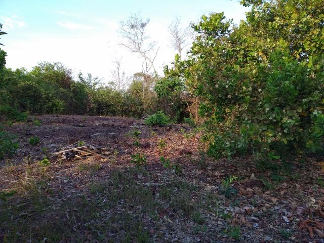 Terreno no São Bento - Foto 2