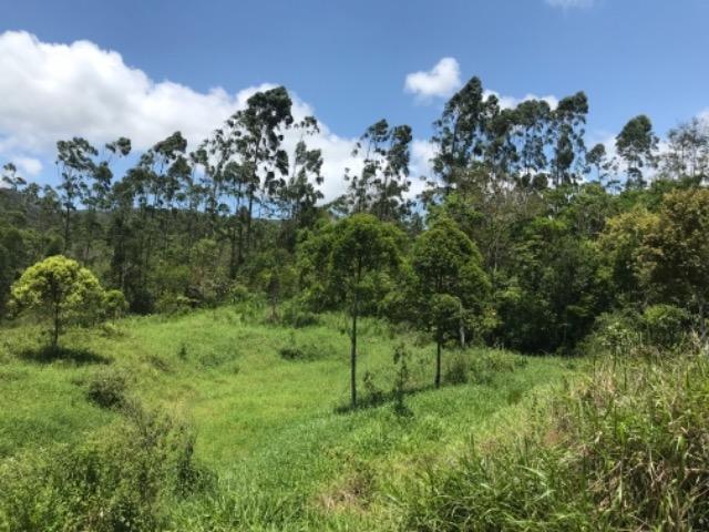 Vendo terreno rural camboriú