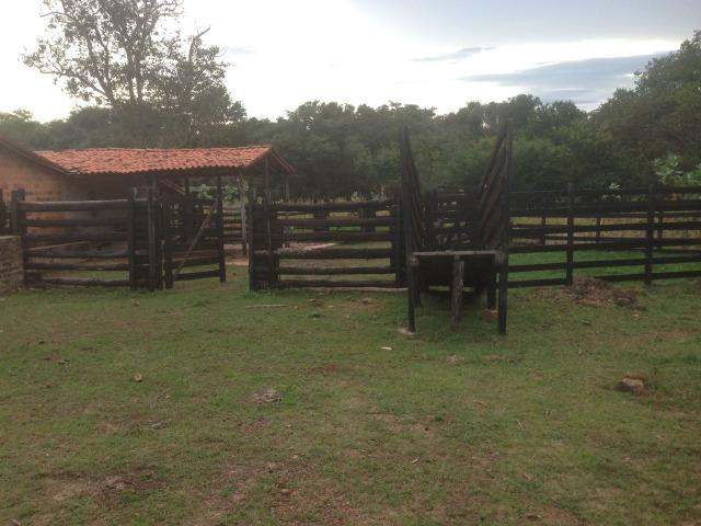 Fazenda as margem da BR 222 a 01 km de Batalha ? PI - Foto 2