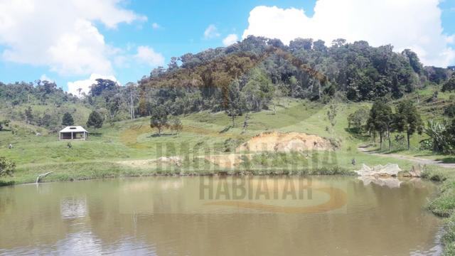 Fazenda de 100 alqueires paulistas, Campina Grande do Sul / PR - Foto 7