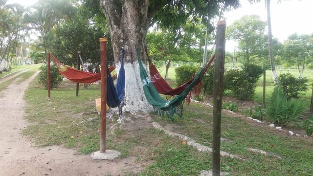 Lazer no Sitio Campestre - Foto 4
