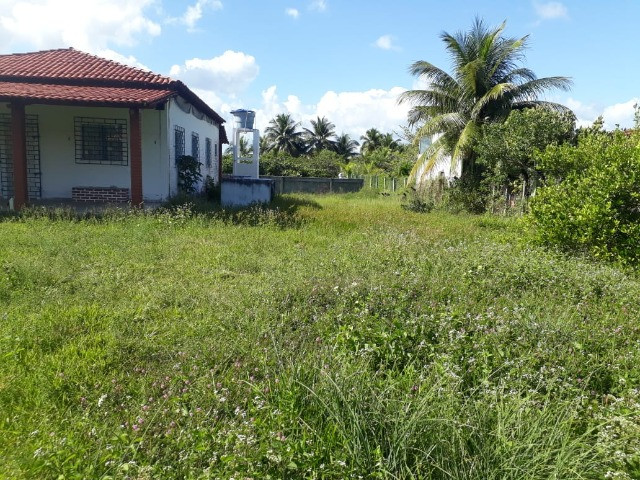 Casas - Foto 4