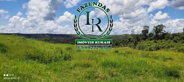 Fazenda 62 Alqueires  Oportunidade Próximo a Palmas