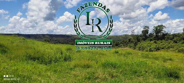 Fazenda 62 Alqueires Oportunidade Próximo a Palmas