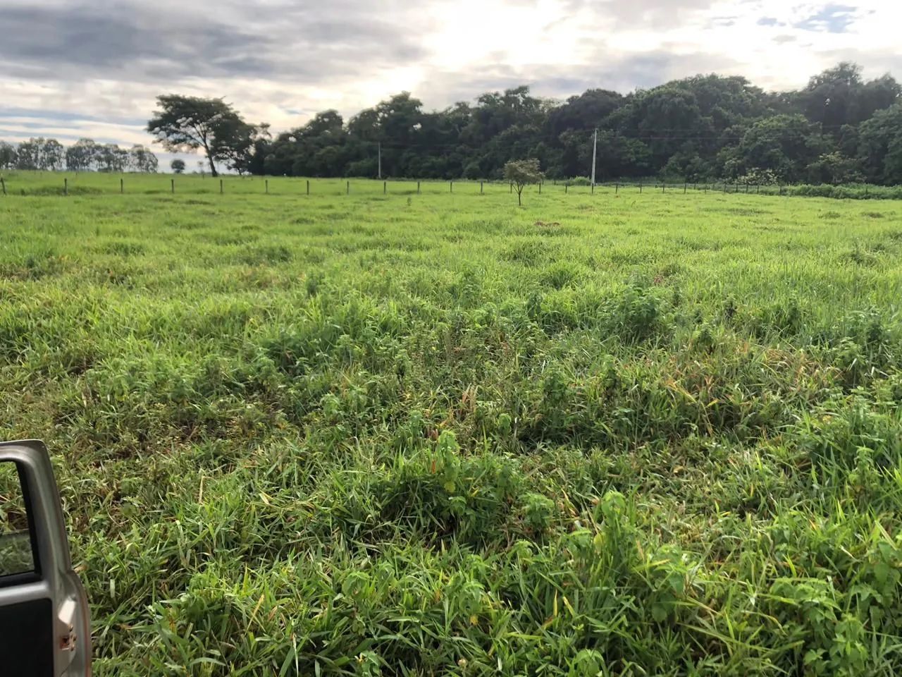 Chacara em santa barbara go - Foto 12