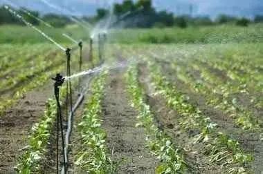 Irrigação Automatizada Programável: Chácaras , Fazendas , Gramado - Foto 3