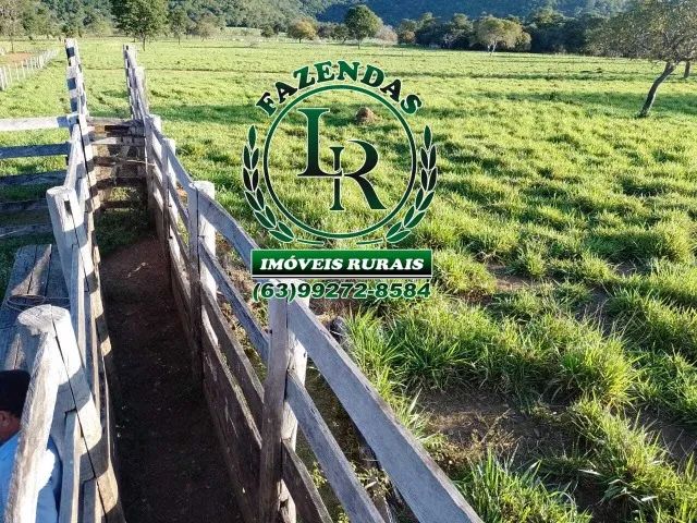 Fazenda / chácara 21,8 Alqueires  Próximo a Palmas-To - Foto 4