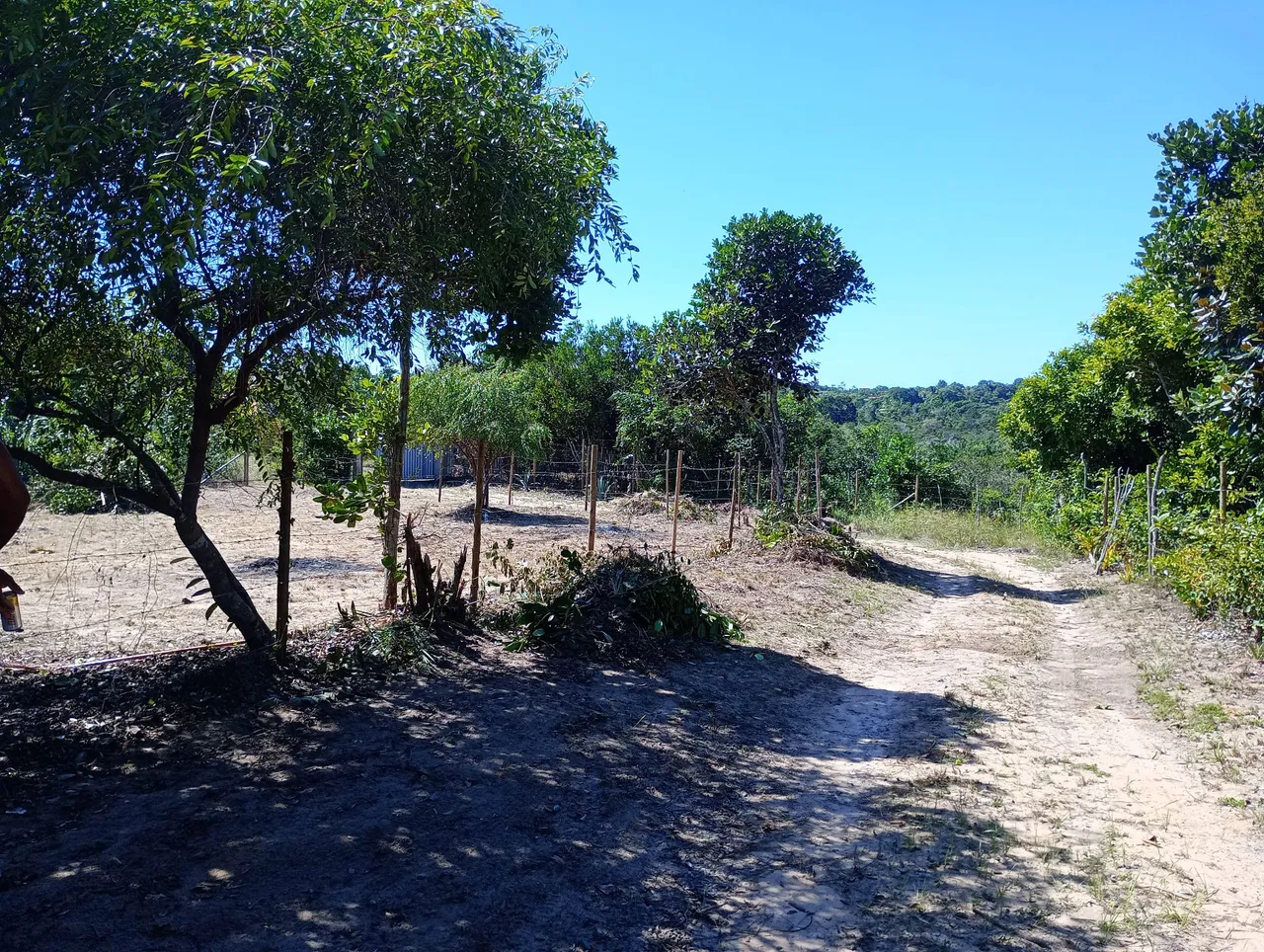 Terreno Foz de Imbassaí Condomínio de Mini Sitio