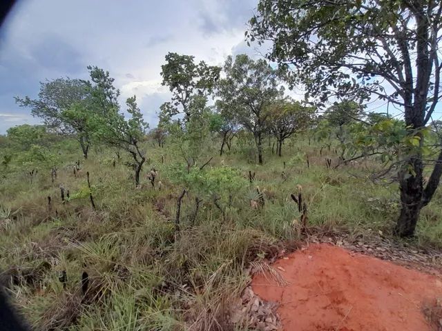 Fazenda em Ponte Alta. - Foto 5