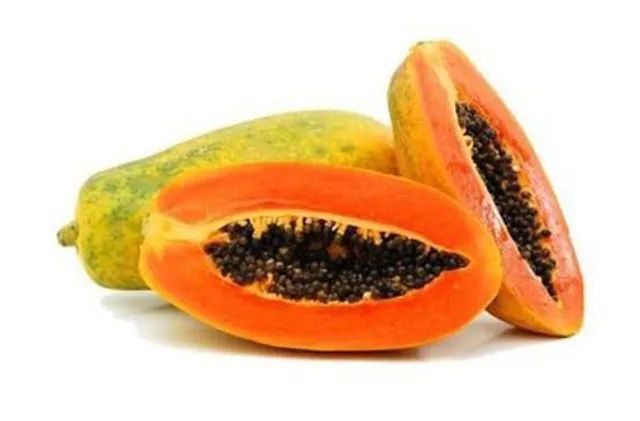 Mudas de mamão Formosa. - Foto 4