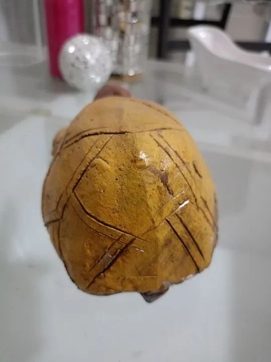 Tartaruga para decoração artesanal - Decoração - Foto 3
