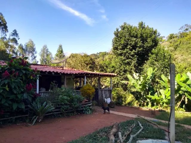 Foto - São Paulo - Vila Mariana