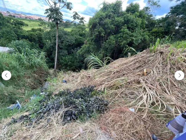 Terreno bom jesus perdões oportunidade - Foto 4