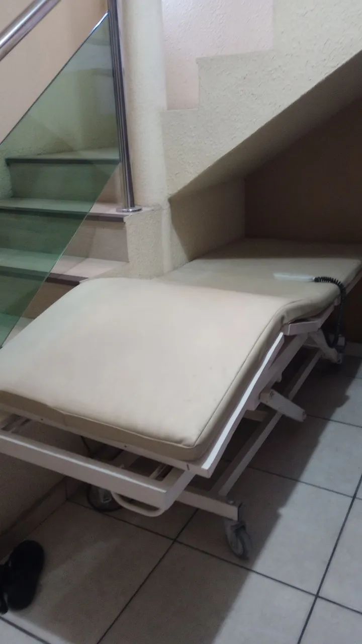 Maca  profissional