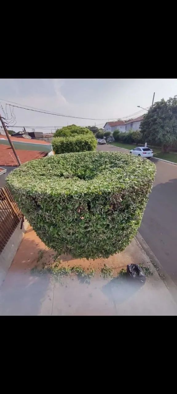 Jardinagem em geral - Foto 2