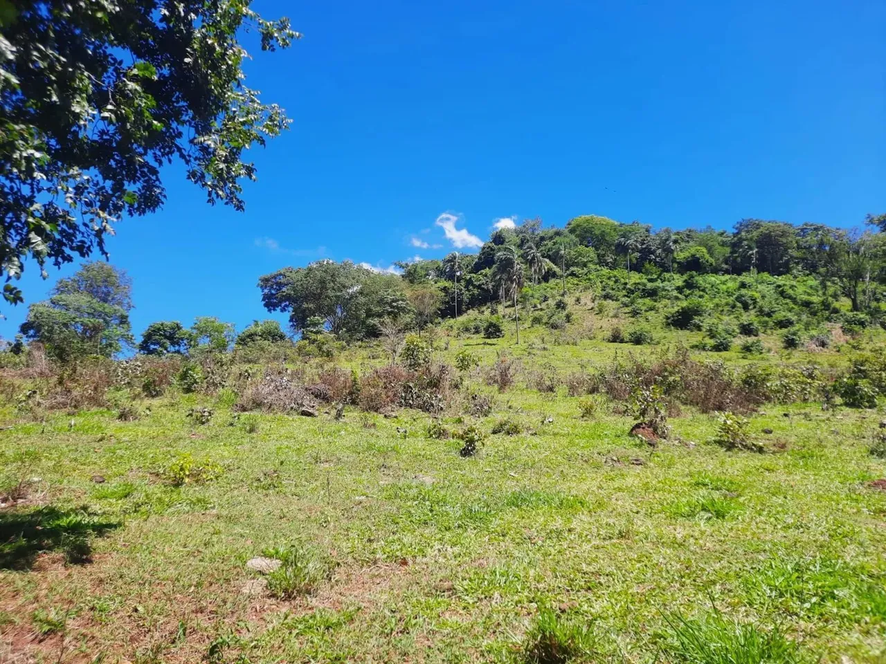 Área à venda no bairro em Itaguari/GO