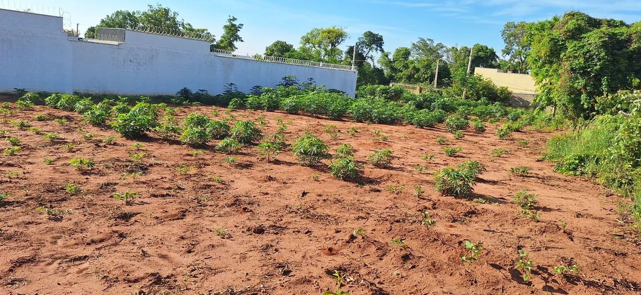 Foto - Bauru - Vale do Igapó