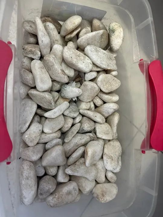 Pedras Brancas para Decoração de Jardim