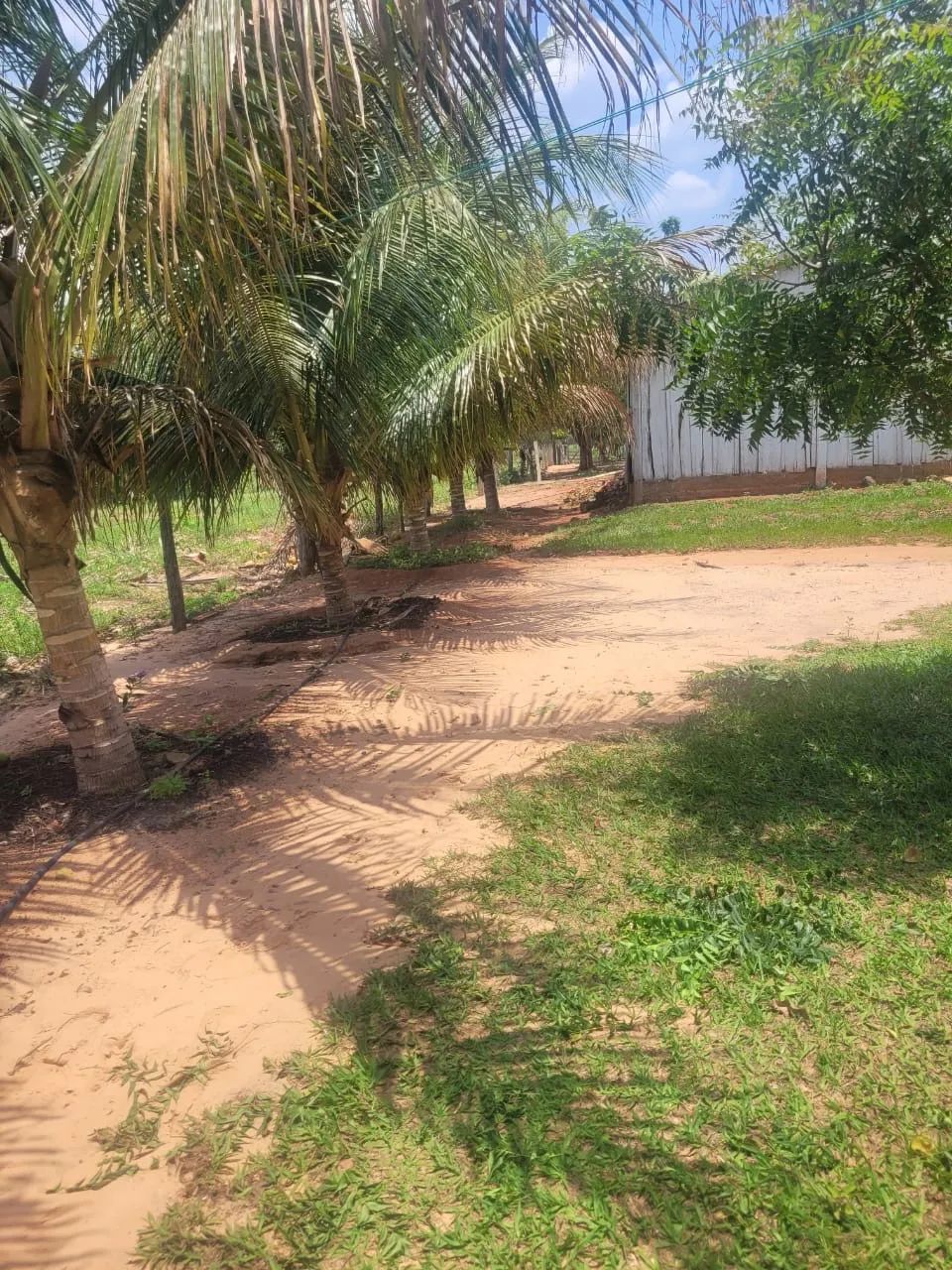 Fazenda município Nova Olinda Tocantins com 138 Alqueires - Nova Olinda - TO
