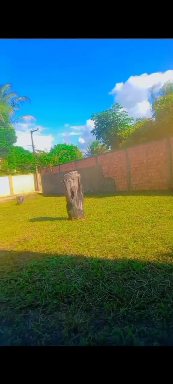 Terreno