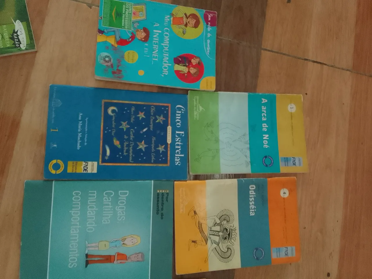 Coleção de Livros Infantis, literaturas e Didáticos - Diversos Títulos