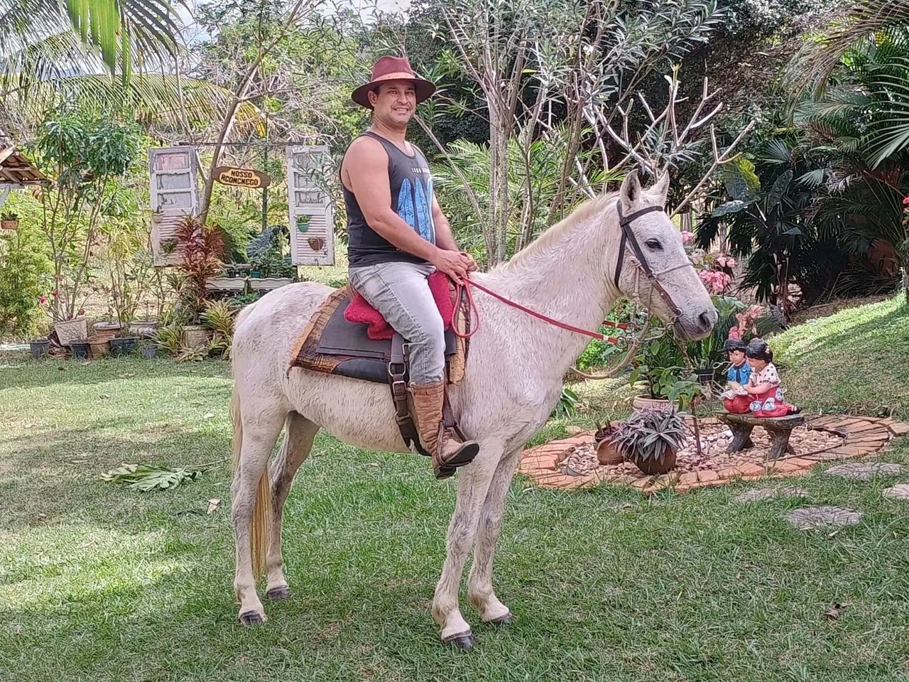 Cavalo Mangalarga Marchador (Registrado) - Foto 2