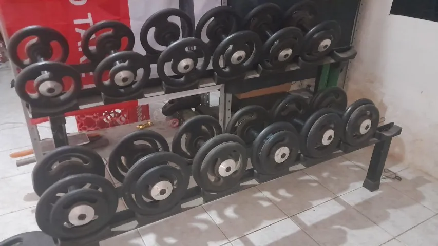Halteres 10kg a 20kg com suporte