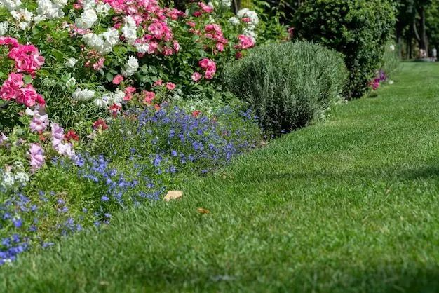 Foto - Curitiba - Boqueirão