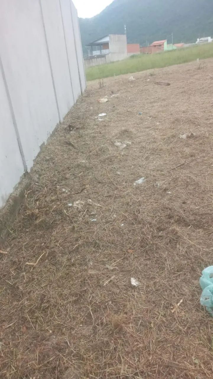 Limpeza de terreno 