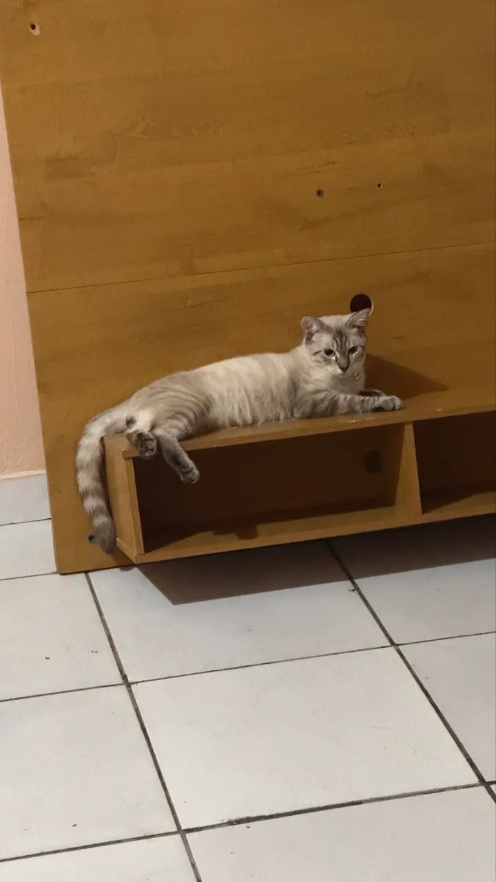 Doação  - Foto 2