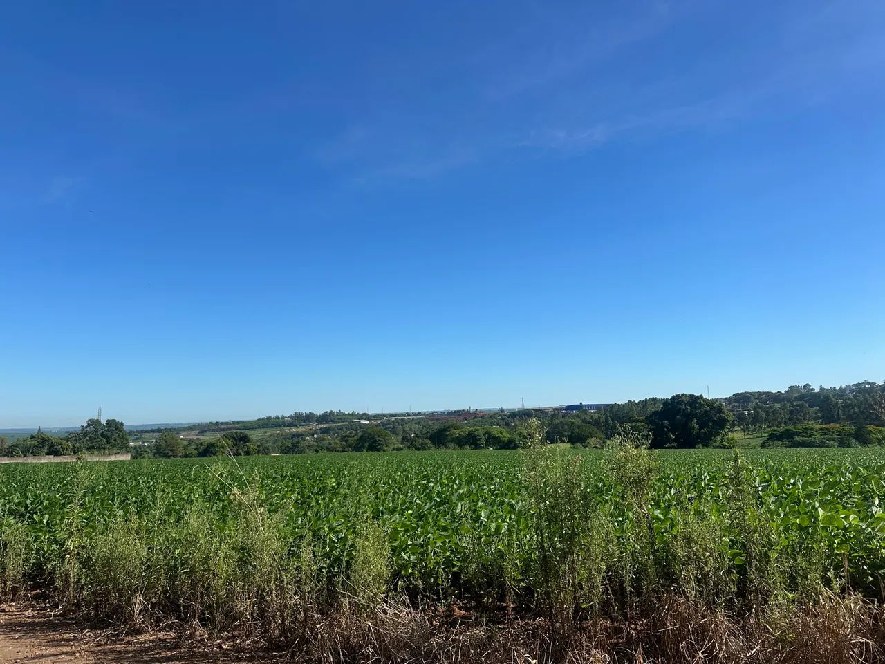 * Terreno 7.000m² em Maringá - Excelente Localização - Foto 2
