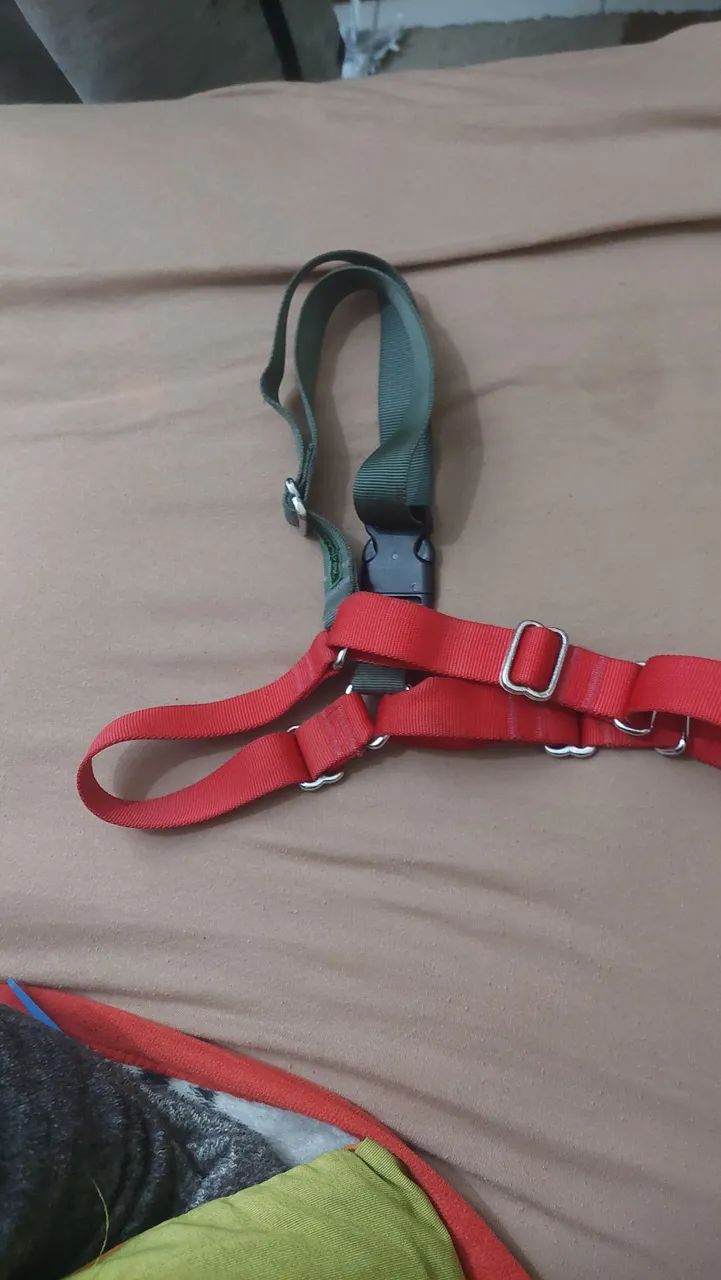 Coleira de cachorro peitoral