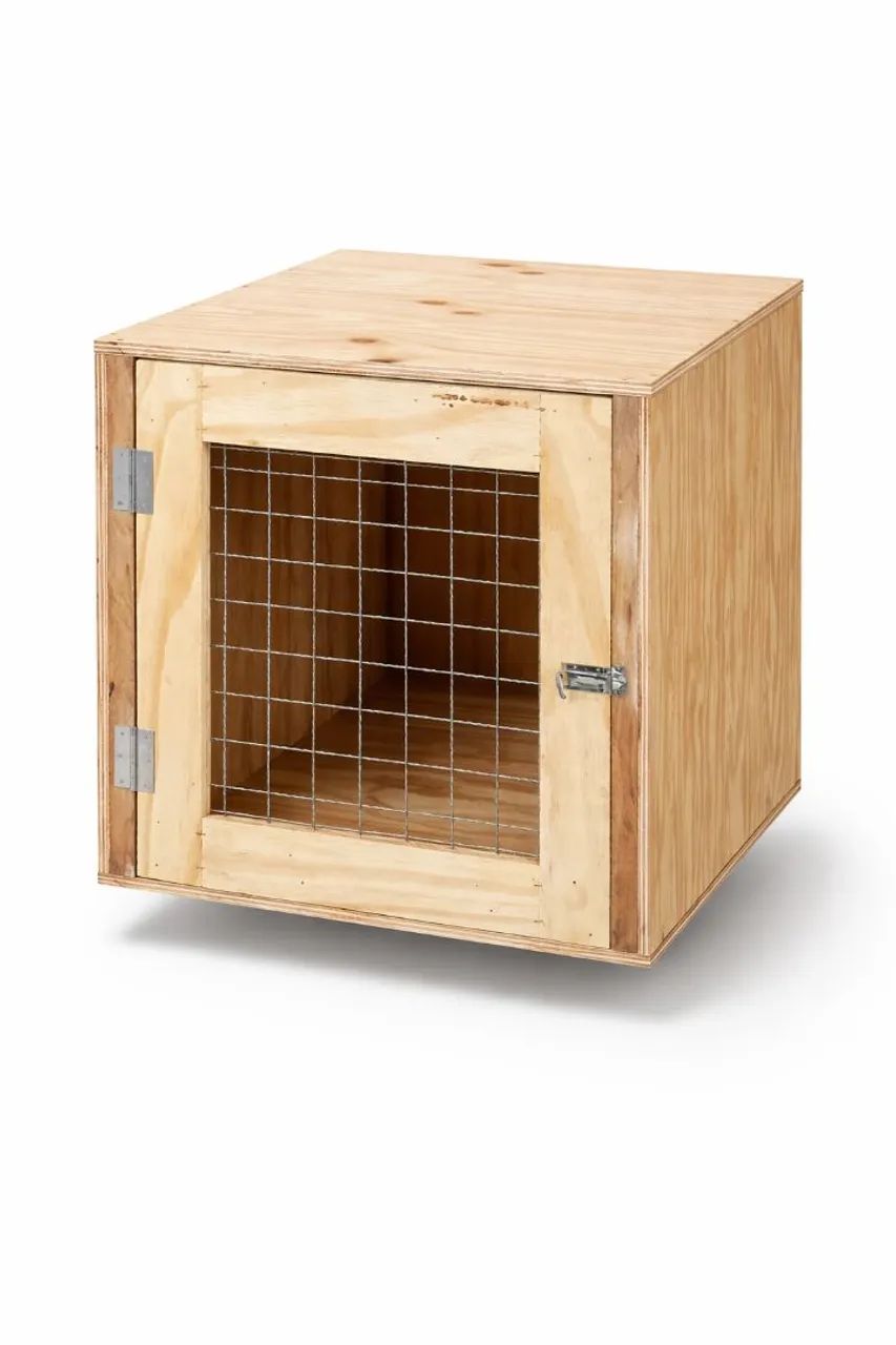Caixa para transporte de pets
