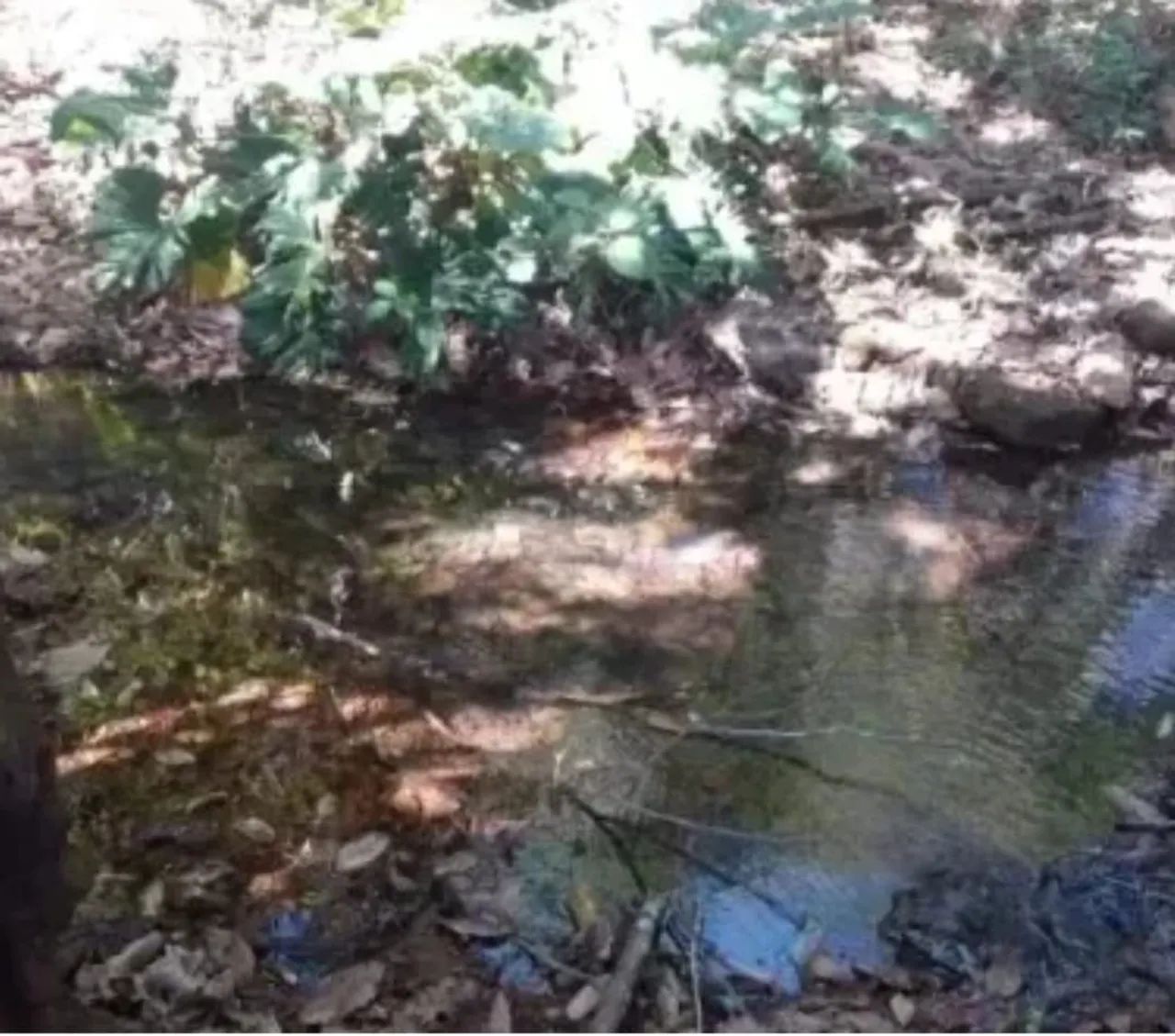 Para você que trabalha muito você merece ? - Foto 2