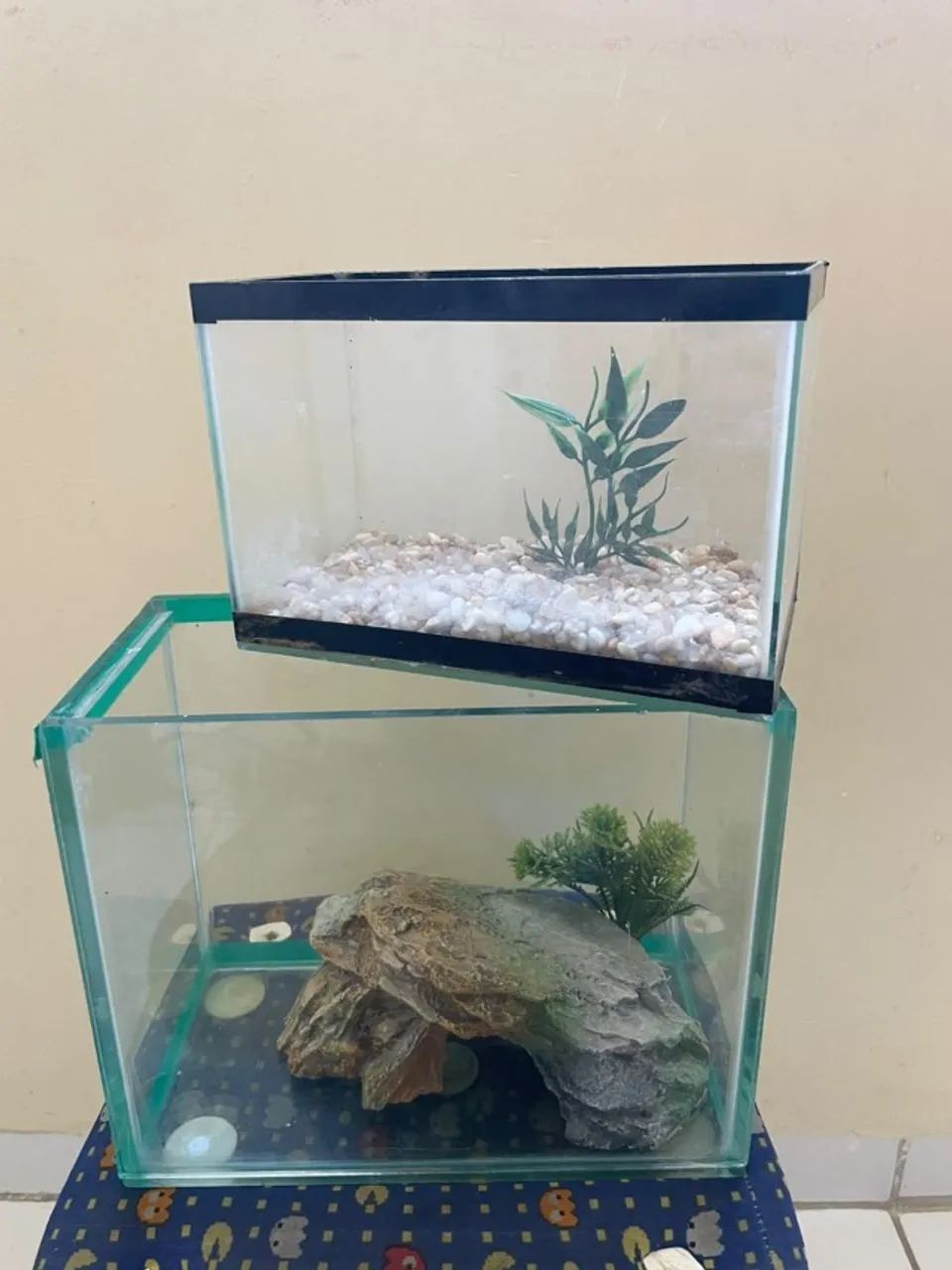 2 aquários