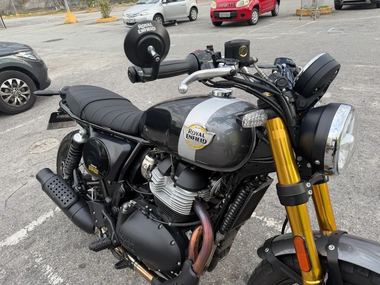 Bear 650 Golden Shadow  - Foto 4