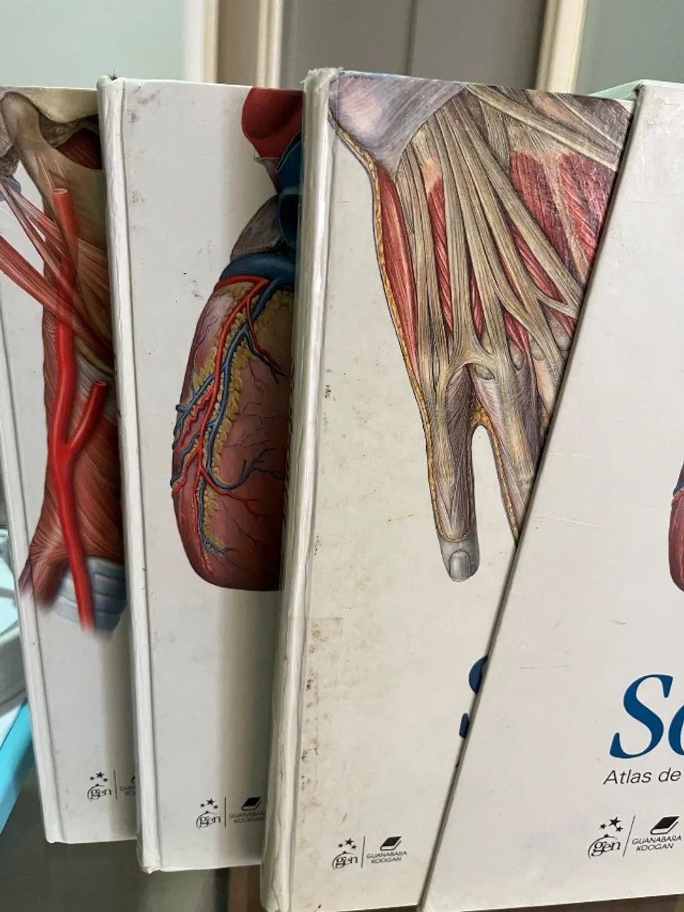COLEÇÃO SOBOTA ANATOMIA - Foto 2