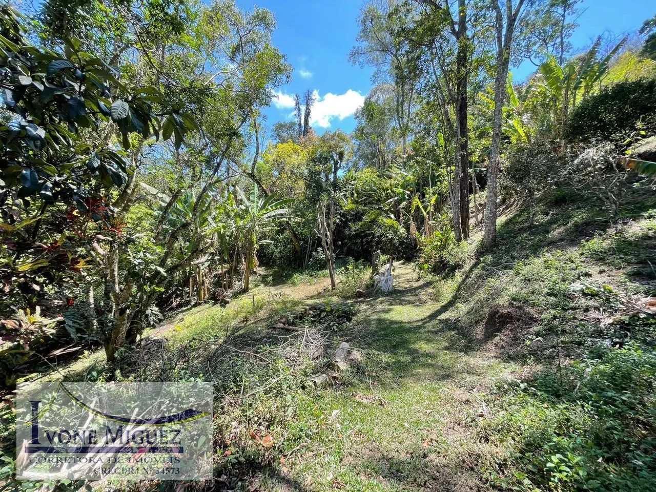 Terreno em Palmares - Paty do Alferes - Foto 5