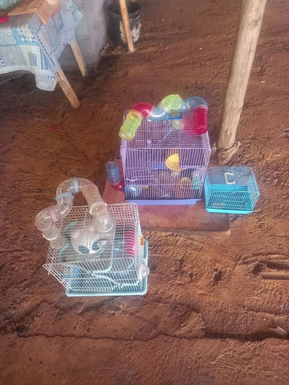  Gaiola de  de hamster usada. 