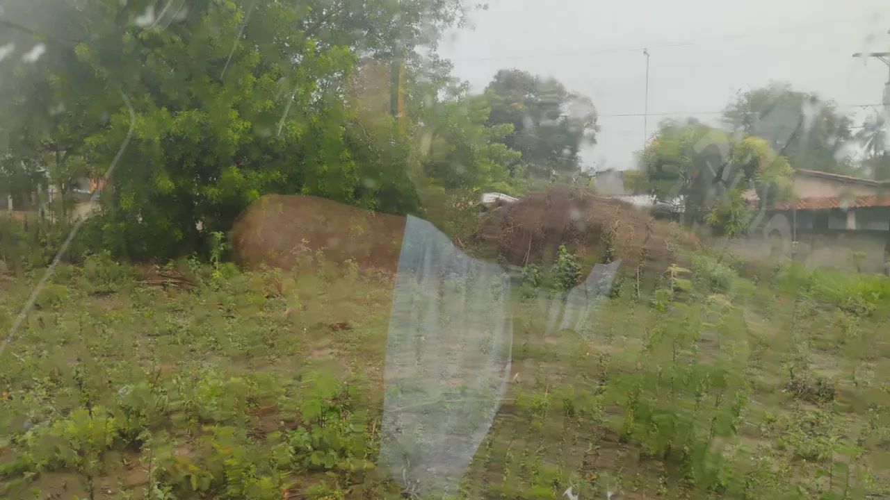Foto - Salvador - Mata Escura