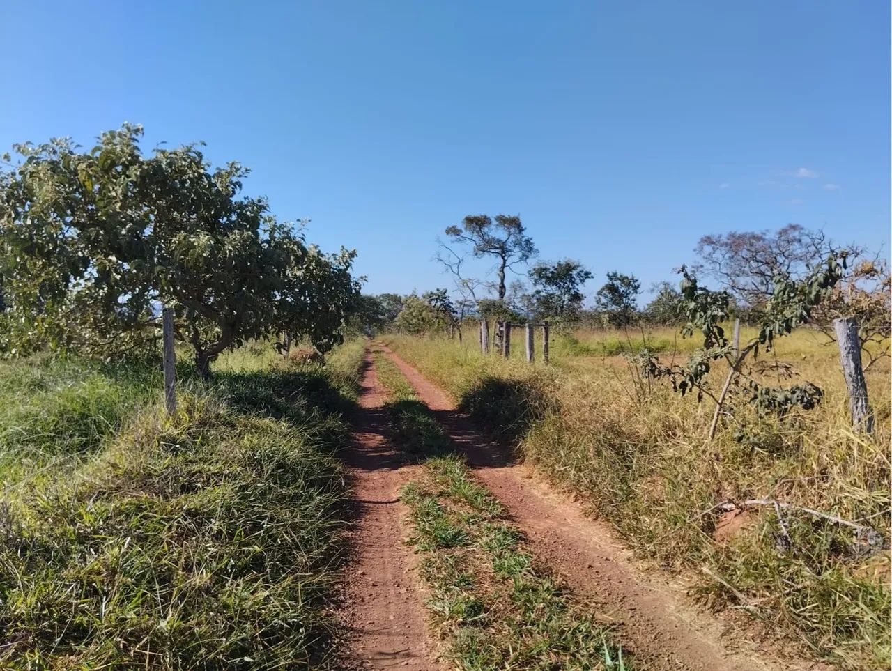Fazenda Luziânia-go - Foto 5